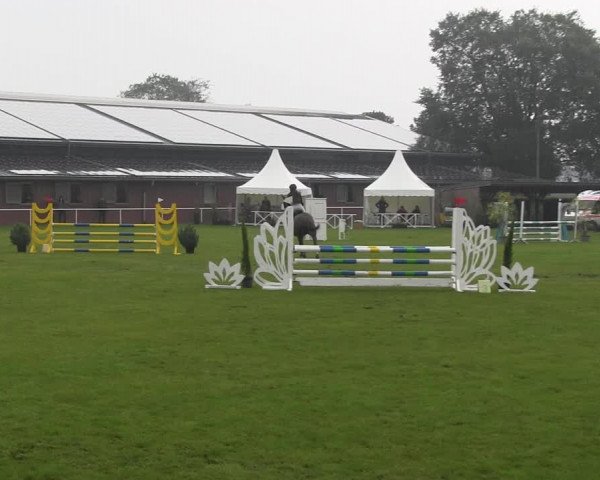 Reitturnier Münchehofe 2022