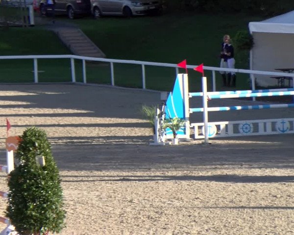 Reitturnier Bülach 2022