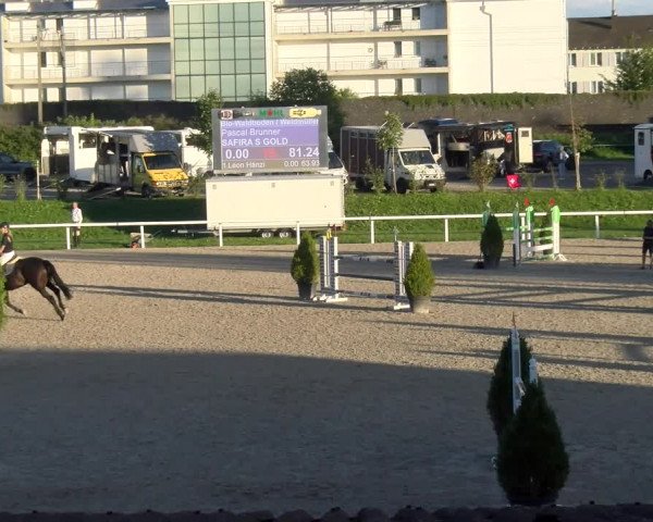 Reitturnier Bülach 2022
