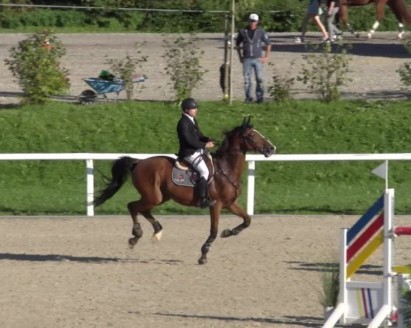 Reitturnier Bülach 2022