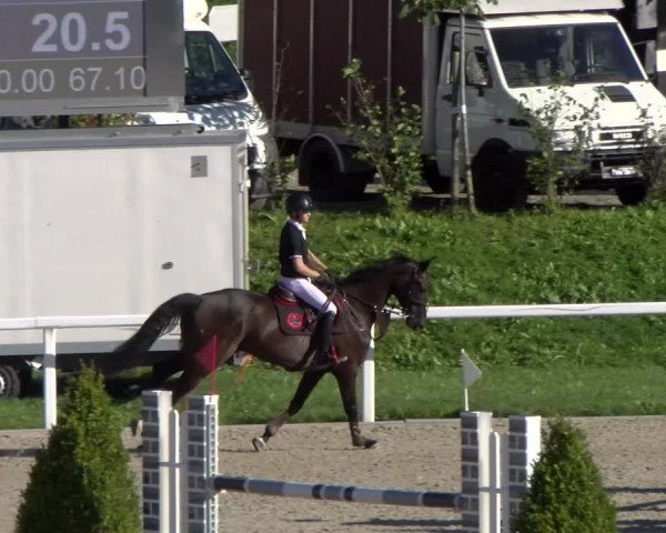 Reitturnier Bülach 2022