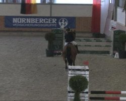 jumper Adria 154 (Holsteiner, 1997, from Acord II)