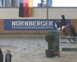 jumper A New Star (Westphalian, 2005, from Albatros 86)