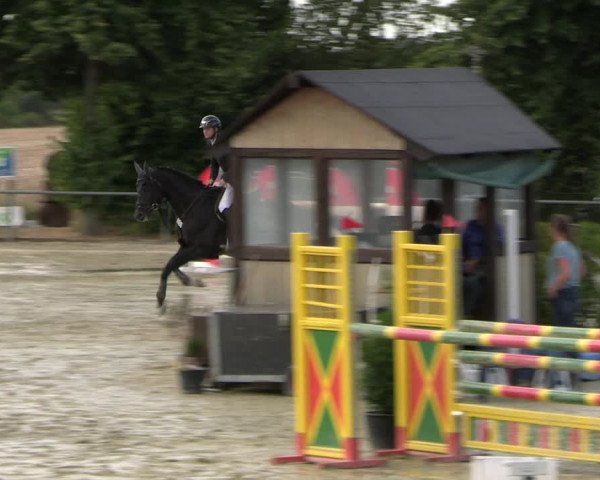 Reitturnier Appelhülsen 2022