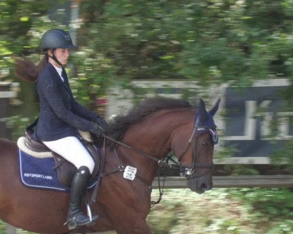 Reitturnier Walldorf/Winterheck 2022