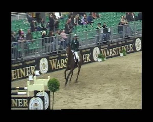 jumper Primeval Temptation (KWPN (Royal Dutch Sporthorse), 2004, from Rash R)