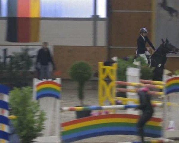 jumper Leanco (Oldenburg, 2001, from Lord Calando)