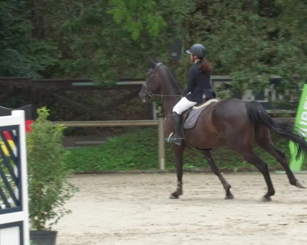 Reitturnier Walldorf/Winterheck 2022