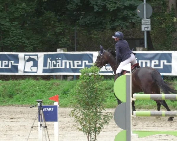 Reitturnier Walldorf/Winterheck 2022
