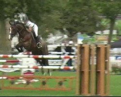Springpferd Quidam de Luxe (Holsteiner, 2004, von Quidam de Revel)