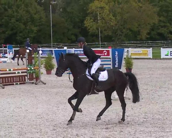 Reitturnier Babenhausen/Schw. 2022