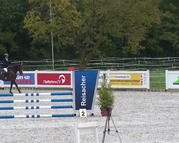 Reitturnier Babenhausen/Schw. 2022