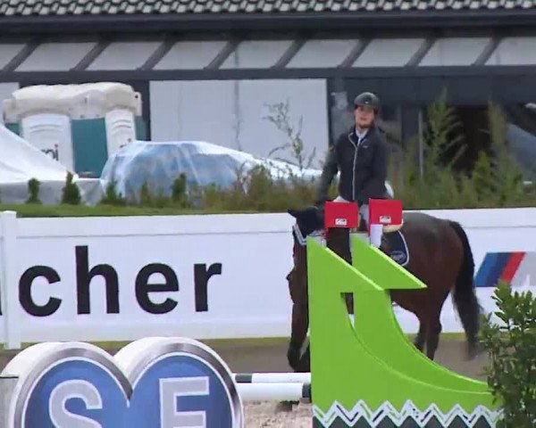 Reitturnier Babenhausen/Schw. 2022