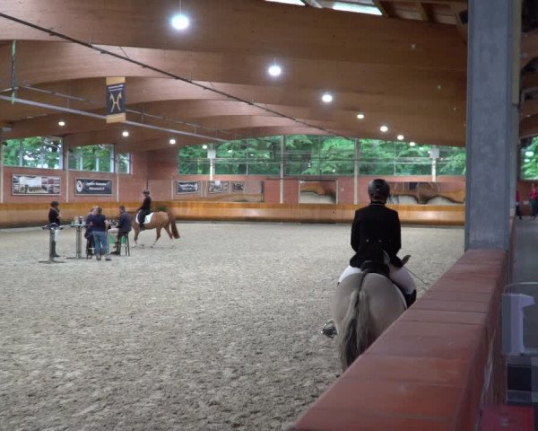 Hannoveraner Zuchtstutenprüfung mit Prämierung in Wickrath 2022