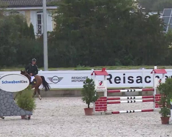 Reitturnier Babenhausen/Schw. 2022