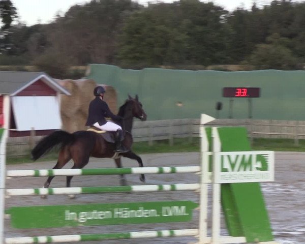 Reitturnier Schülp / Rendsburg 2021