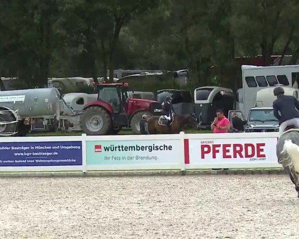 Reitturnier Babenhausen/Schw. 2022