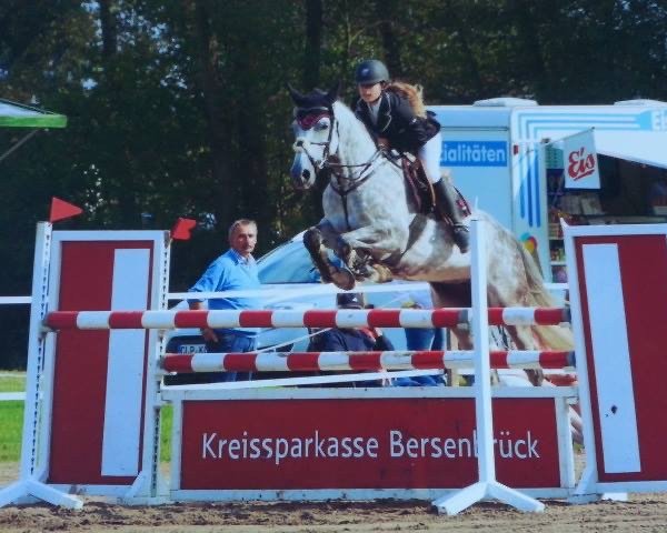 broodmare C'est la vie 163 (Oldenburg, 2007, from Charming Boy 38)