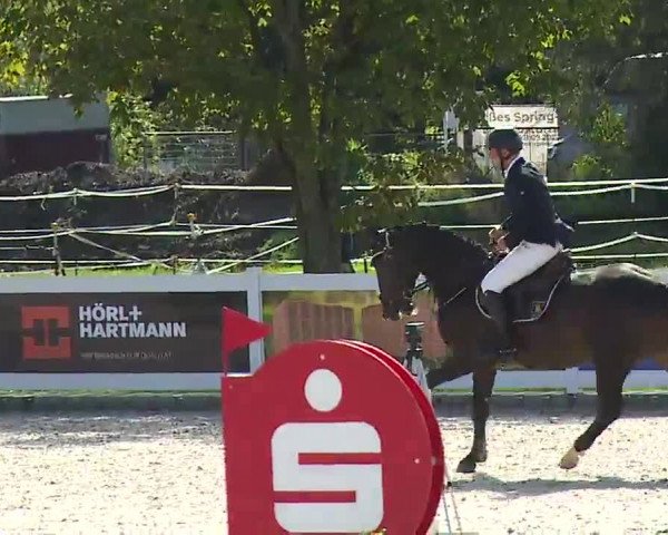 Reitturnier Babenhausen/Schw. 2022