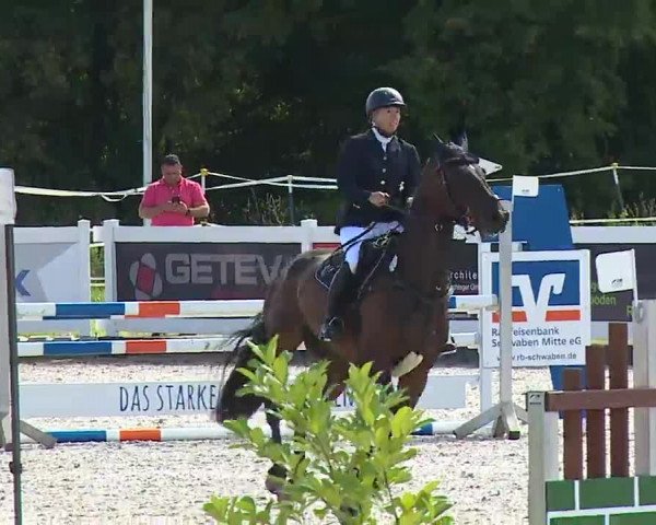 Reitturnier Babenhausen/Schw. 2022