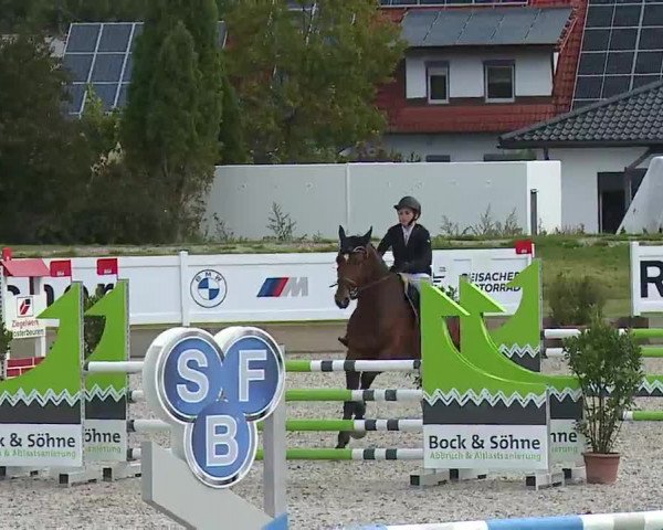 Reitturnier Babenhausen/Schw. 2022