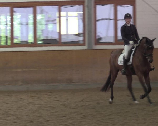 Reitturnier Appelhülsen 2022