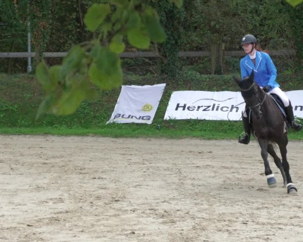 Reitturnier Walldorf/Winterheck 2022