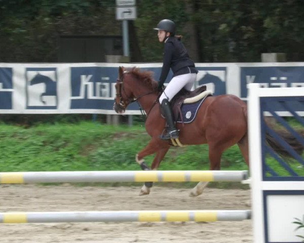 Reitturnier Walldorf/Winterheck 2022