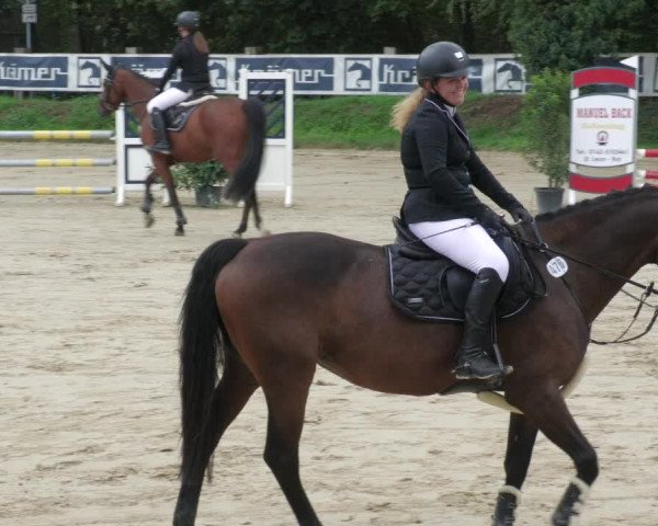Reitturnier Walldorf/Winterheck 2022