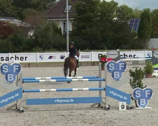 Reitturnier Babenhausen/Schw. 2022