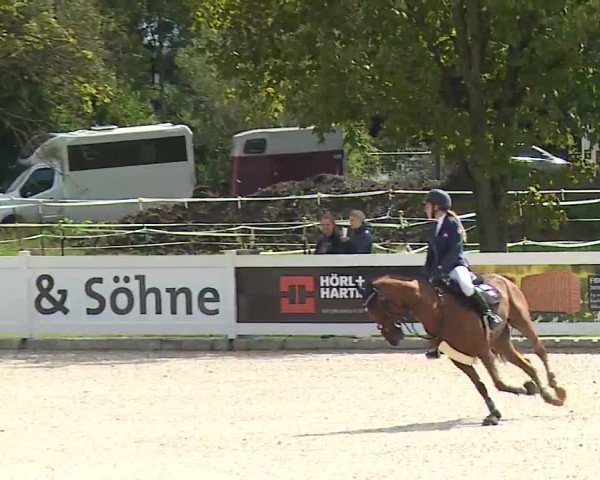 Reitturnier Babenhausen/Schw. 2022