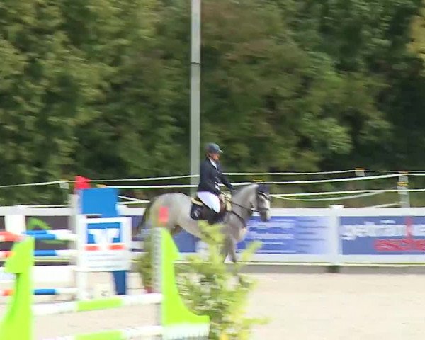Reitturnier Babenhausen/Schw. 2022
