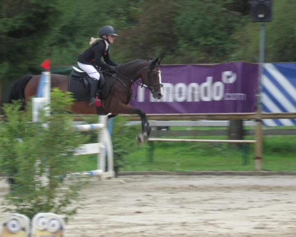 Reitturnier Walldorf/Winterheck 2022