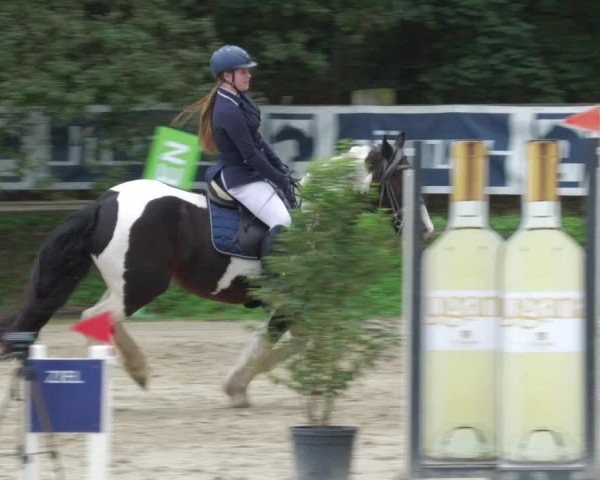Reitturnier Walldorf/Winterheck 2022