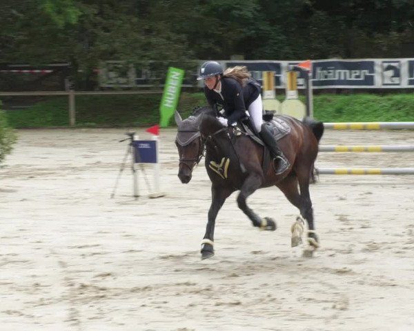 Reitturnier Walldorf/Winterheck 2022