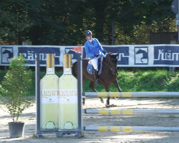 Reitturnier Walldorf/Winterheck 2022
