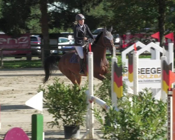 Reitturnier Walldorf/Winterheck 2022