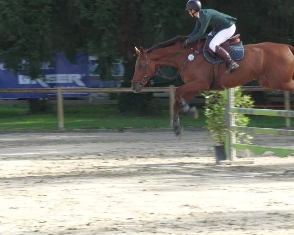 Reitturnier Walldorf/Winterheck 2022