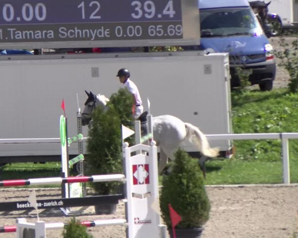 Reitturnier Bülach 2022