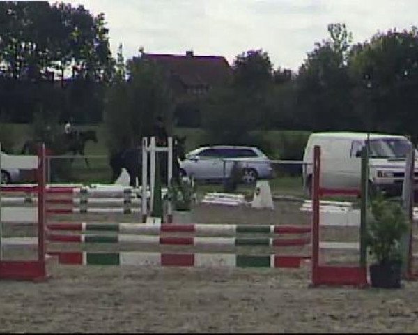 dressage horse La Rochee (German Riding Pony, 2005, from Laudatio)