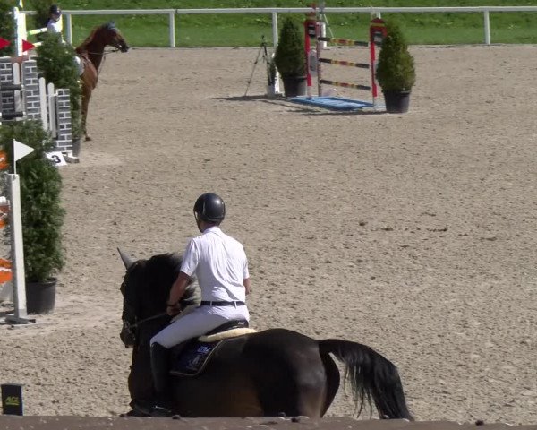 Reitturnier Bülach 2022