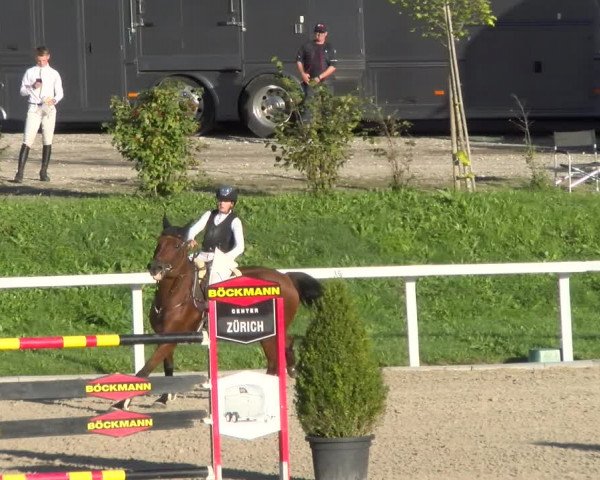 Reitturnier Bülach 2022