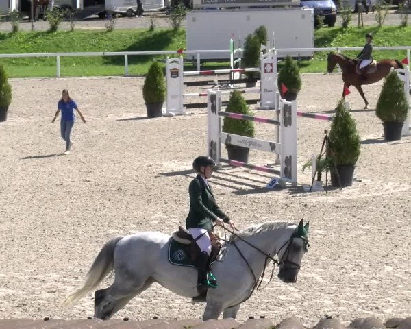 Reitturnier Bülach 2022