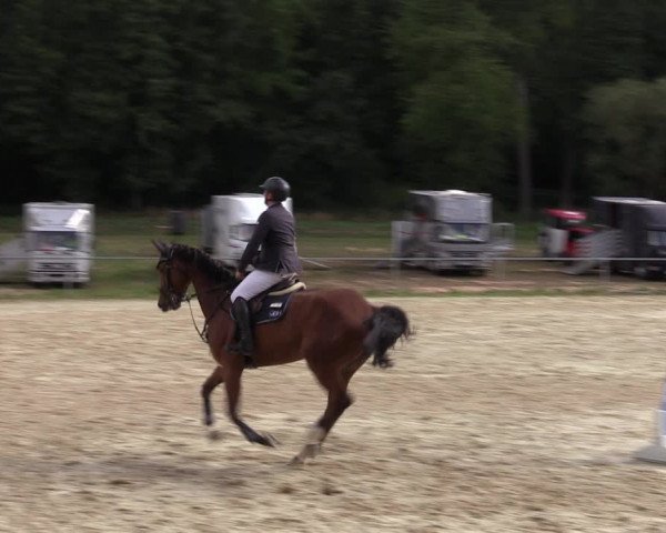 Reitturnier Bad Liebenstein/Sorga 2022
