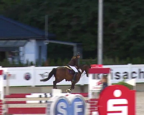 Reitturnier Babenhausen/Schw. 2022