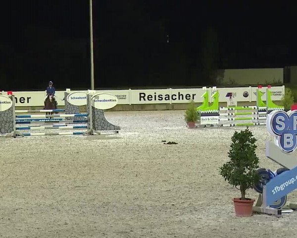 Reitturnier Babenhausen/Schw. 2022