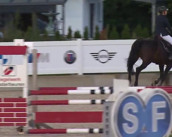 Reitturnier Babenhausen/Schw. 2022
