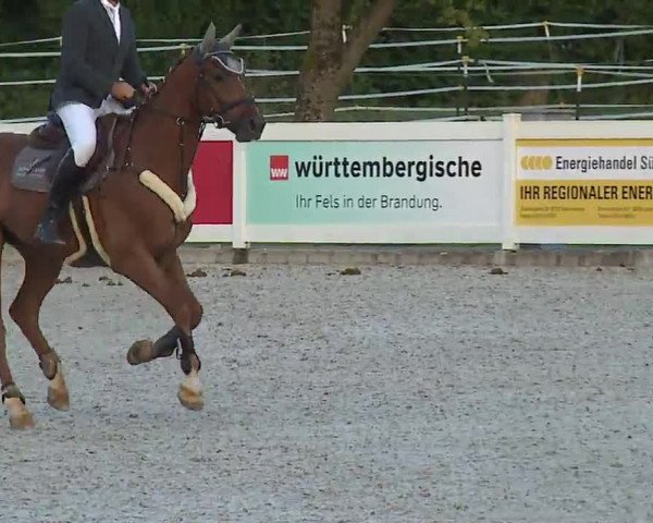 Reitturnier Babenhausen/Schw. 2022