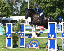 jumper Care for Life (Holsteiner, 2013, from Centurion)