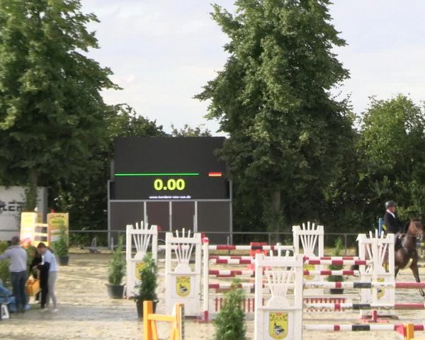 Reitturnier Appelhülsen 2022